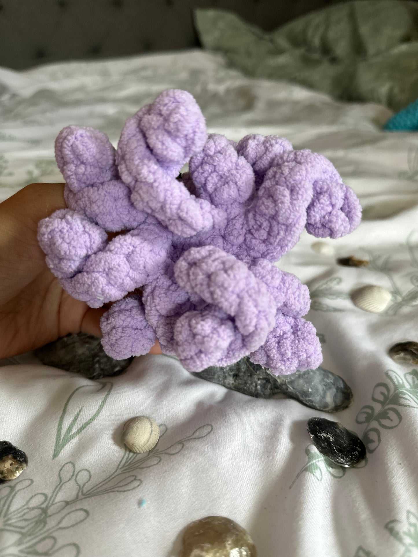 Lavender Octopus